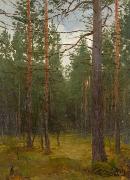 unknow artist Pine forest oil painting on canvas